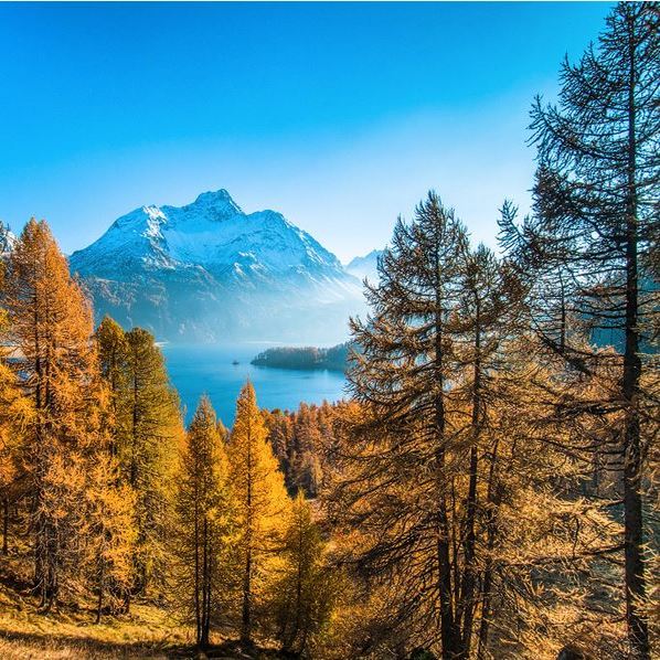 Herbst im Engadin