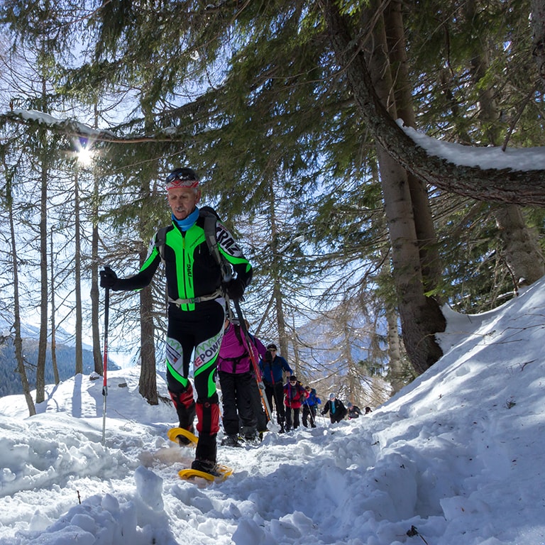 Winterwandern und Schneeschuhetouren